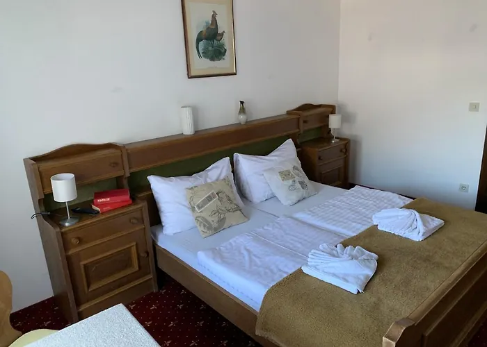 Guest house Panoramahotel Pawlik