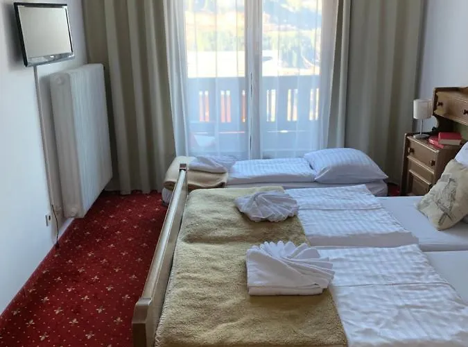 Panoramahotel Pawlik Guest house 3*