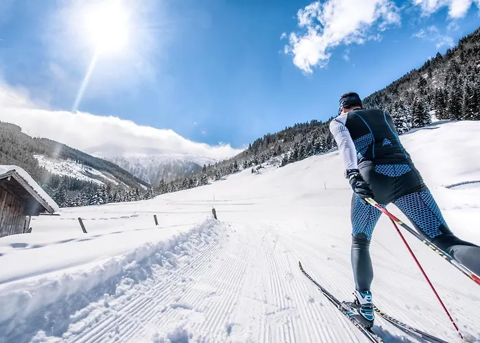 Guest house Panoramahotel Pawlik 3*